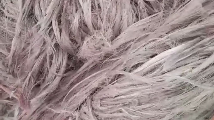 Video 3